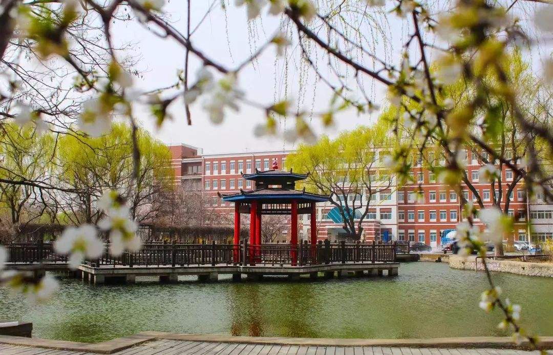 沈阳“最低调”的4所高校，实力不俗，本地学生却不愿报考