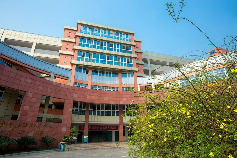 市外招收学生120人！绵阳外国语学校2020年高中招生公告出炉