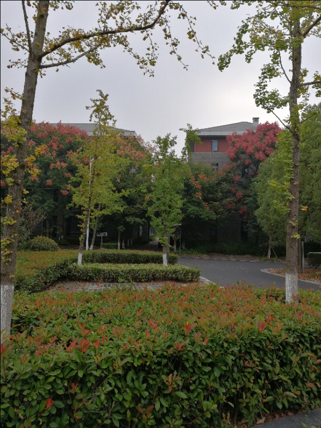 南京大学仙林校区面积「南京大学仙林校区」