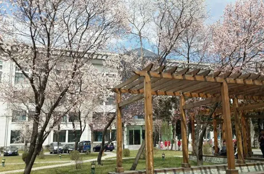 线上看校园 || 带您走进哈尔滨铁建工程高级技工学校