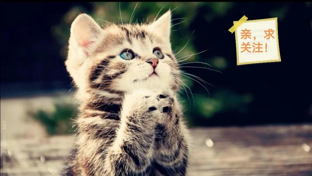 六本无限流完本小说，穿越诸天做反派，功力无敌手段高，书荒必备