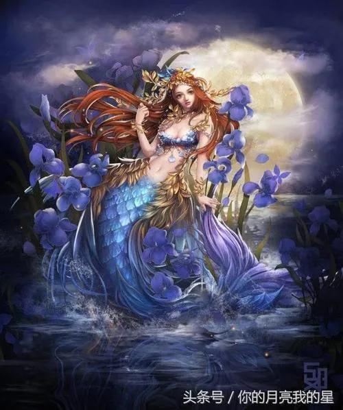 十二星座的守护星，星座花，花语，快来看看你的是什么吧