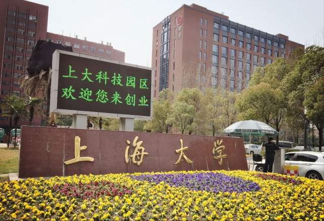 上海大学发布2021年招生简章，解读艺术强校应该把握的问题？
