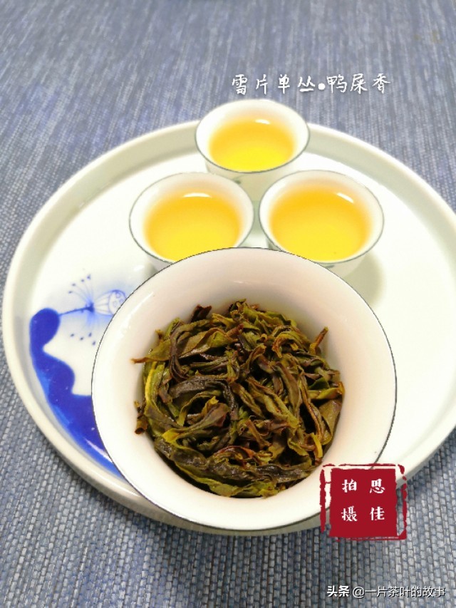 凤凰单丛的十大香型，香气从何而来？
