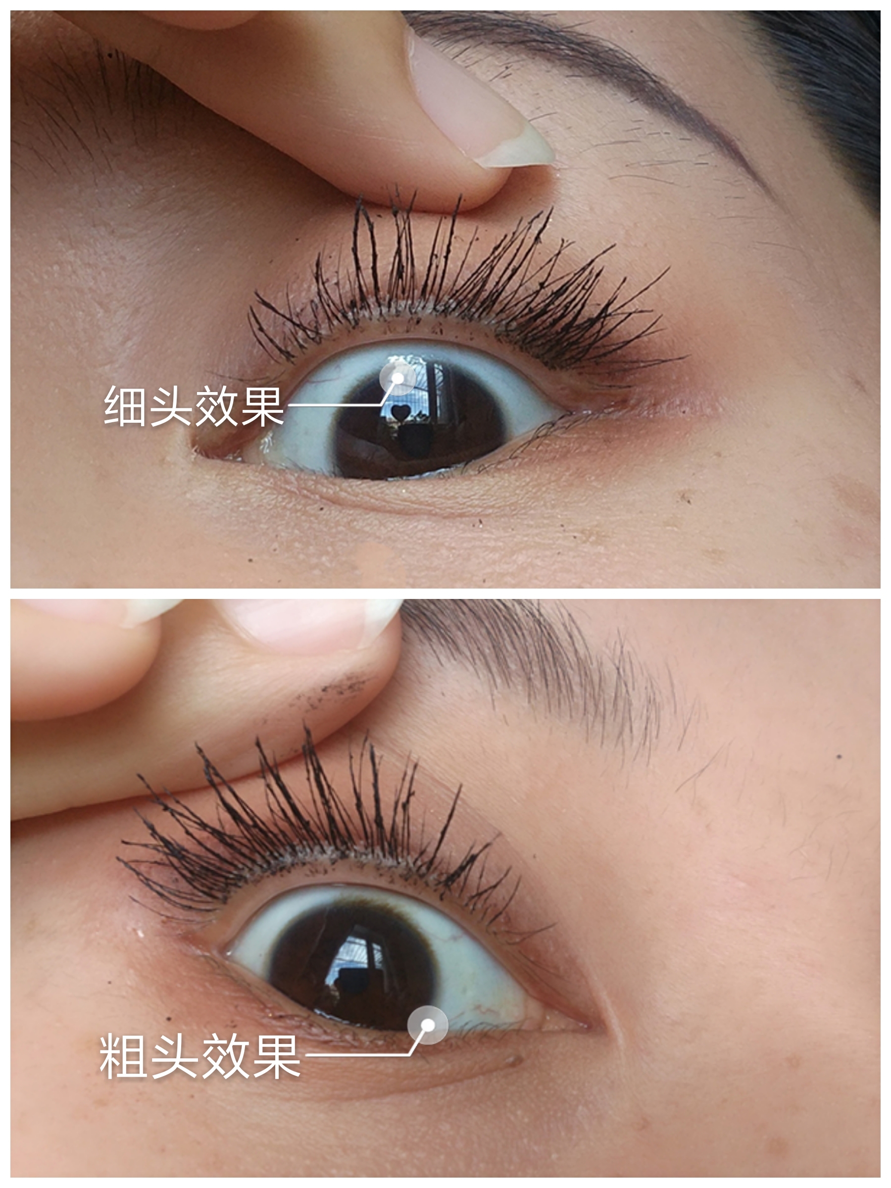 泰国Mistine睫毛膏真人使用测评！油皮必备，不晕染