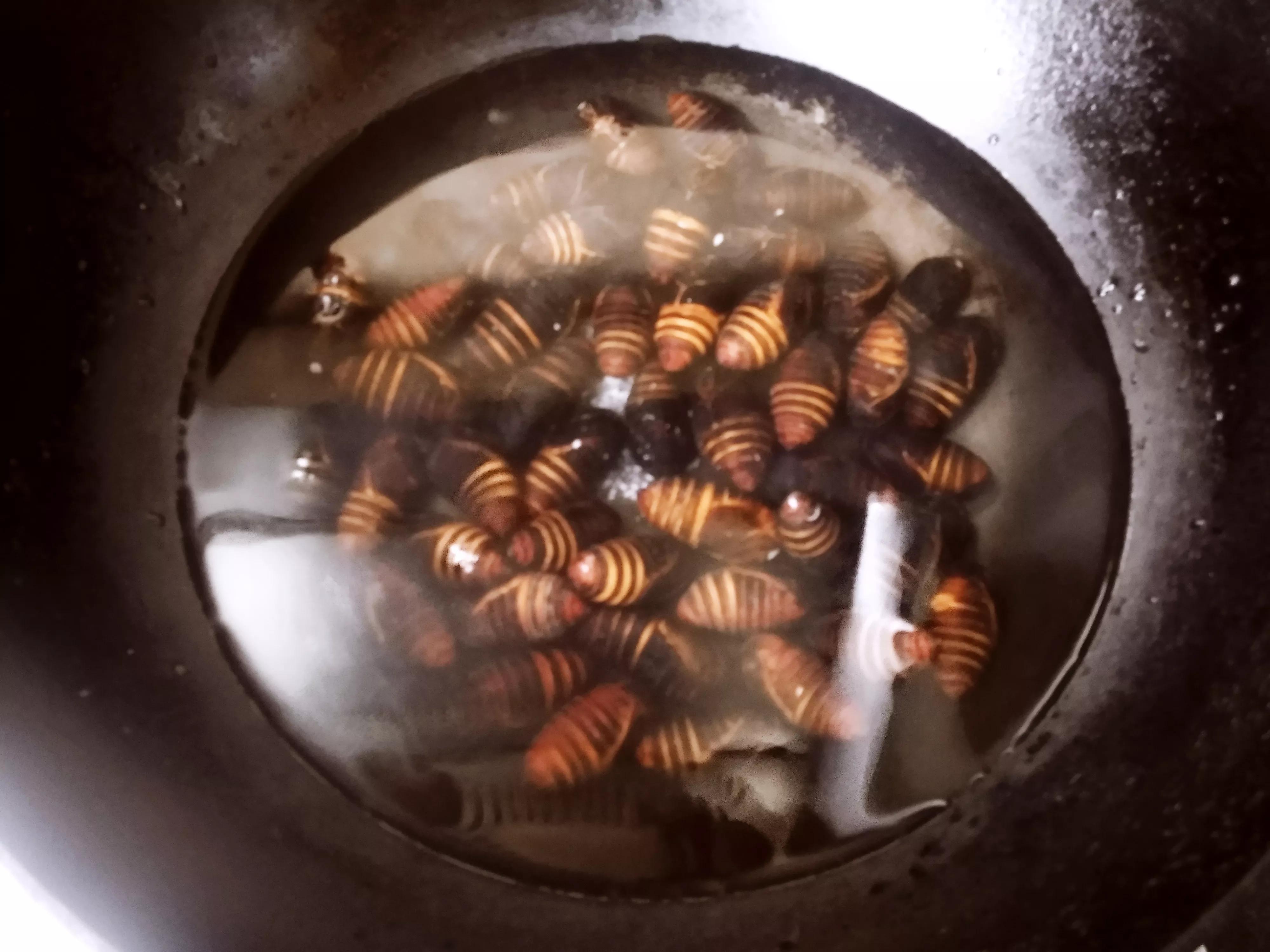 吃茧蛹时,中间的黑芯到底是什么?能不能吃?弄懂再吃不吃亏