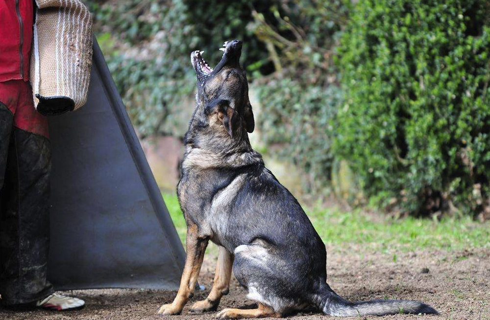 洗劫一家需要多长时间？