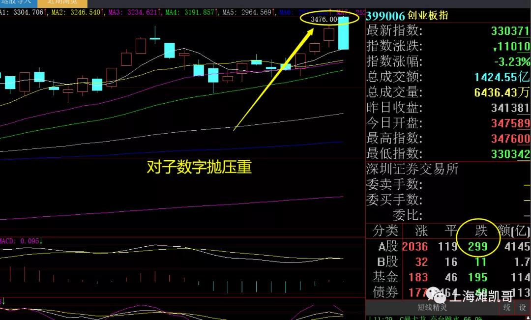 午评：各种茅被砸盘了，今天是选股日