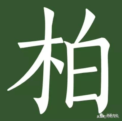柏-汉字的艺术与中华姓氏文化荀卿庠整理