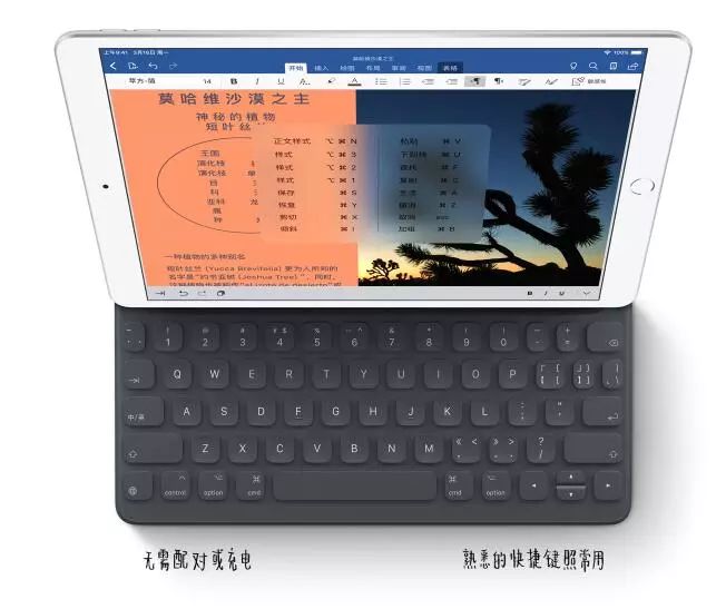 时隔N年，苹果终于出新品！来看看这两款iPad有何不同？