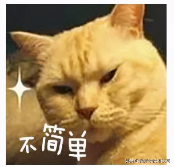 更难了！2021年北京民办国际学校招生入学政策要求说明