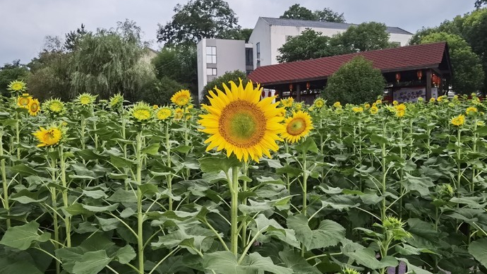 浅谈全国34个省级区域之华东篇：浙江省—衢州市