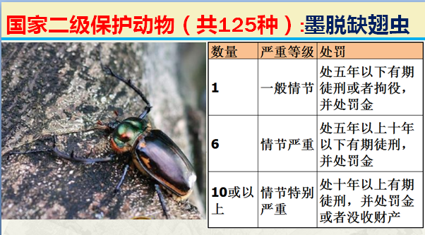 国家保护动物分几个等级（125类二级野生保护名录）