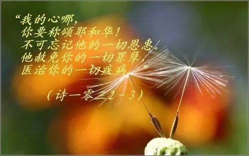 《圣经》金句图片,直击心灵