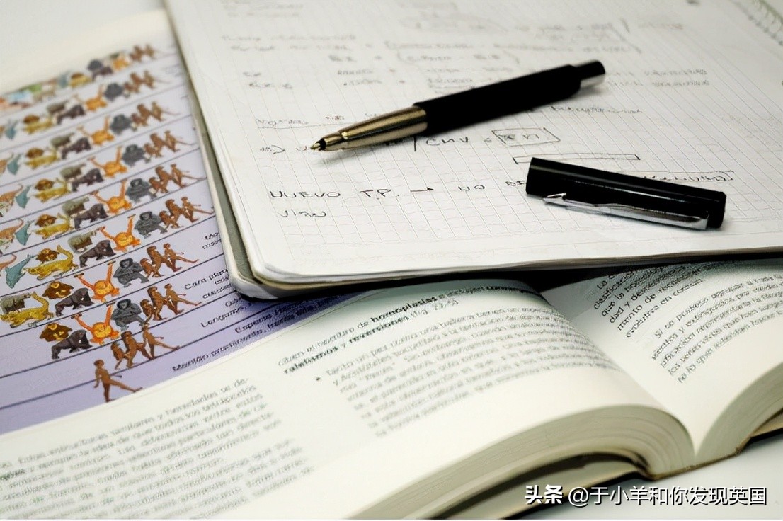 英国留学，如何机智选课、拿高分？看看学姐在英国的选课技巧？