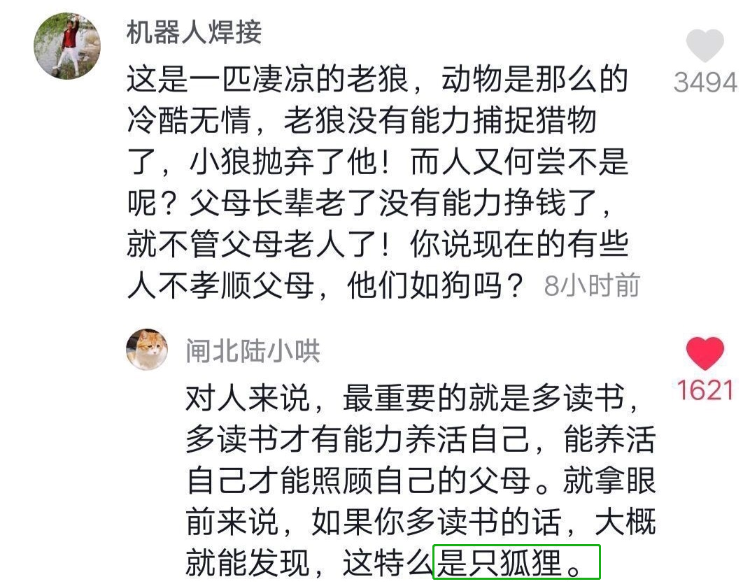 抖音神评论简直绝了！差点笑死在床上