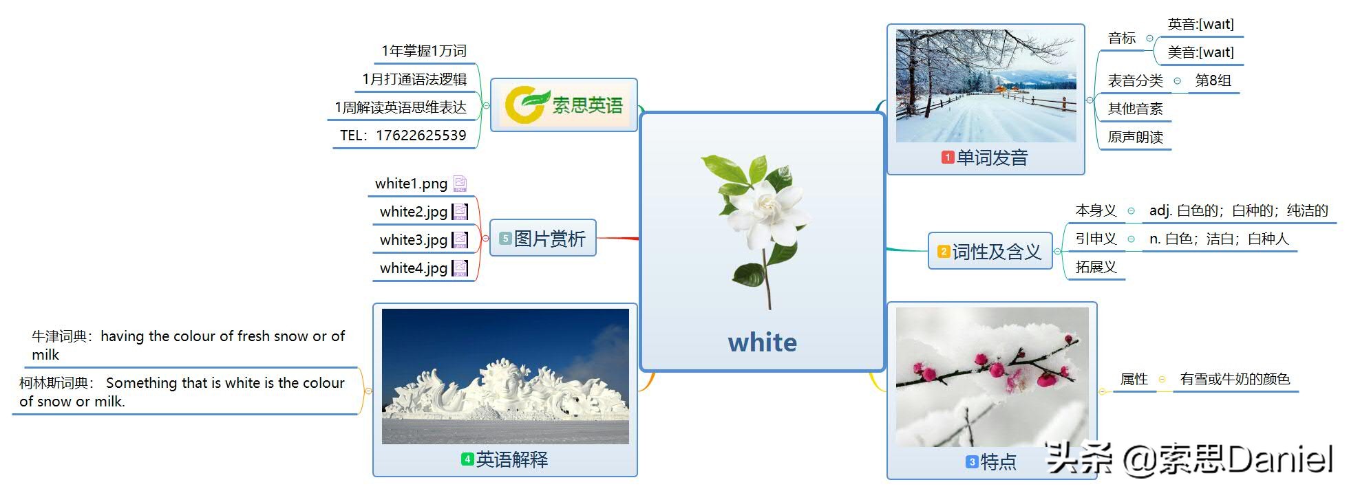 白色在英语中如何表达：索思英语解码单词教学