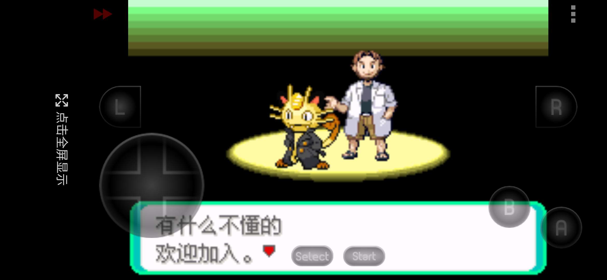 口袋妖怪 永恒之炎