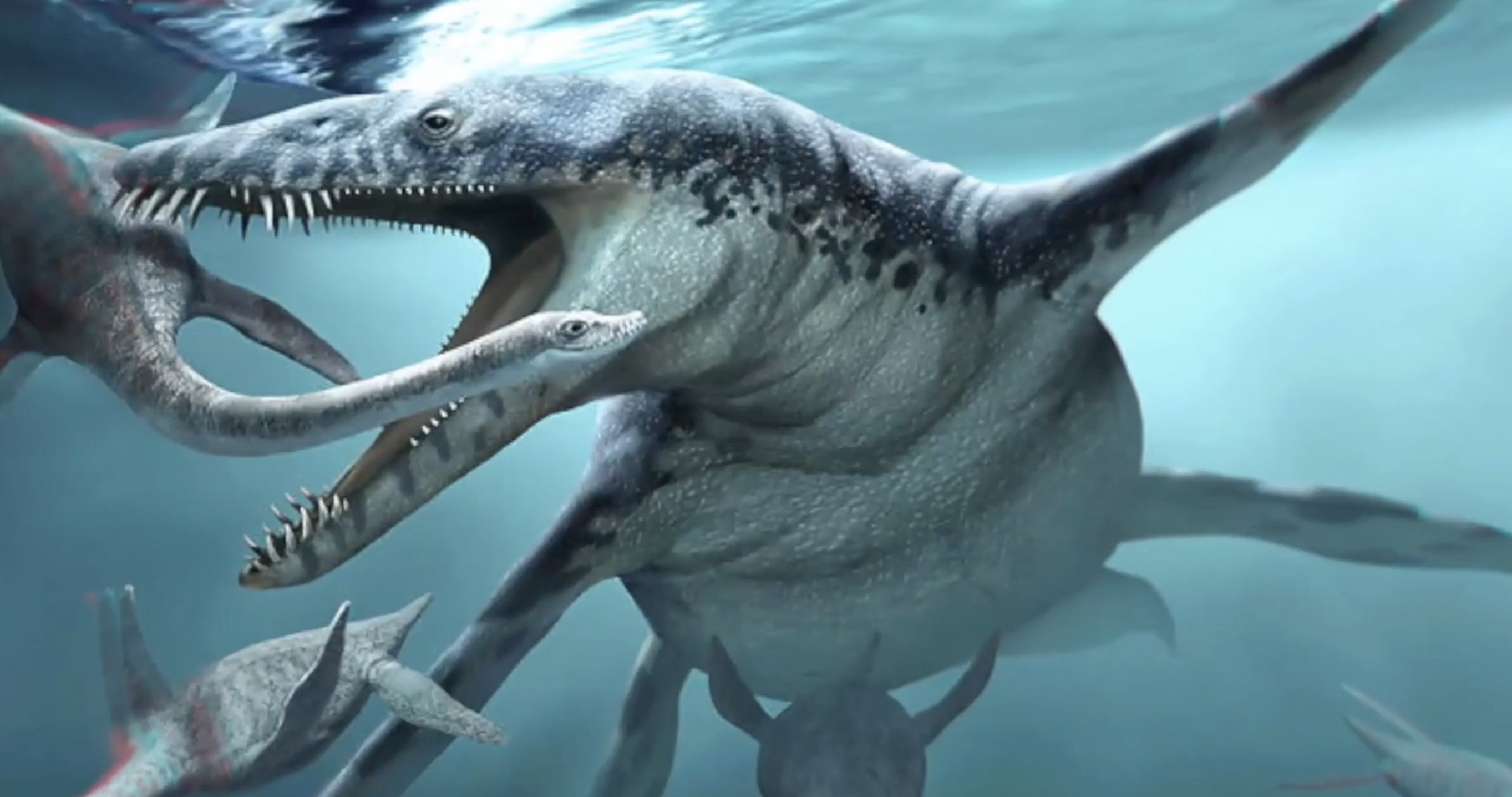 十大海怪(十大海怪的视频)