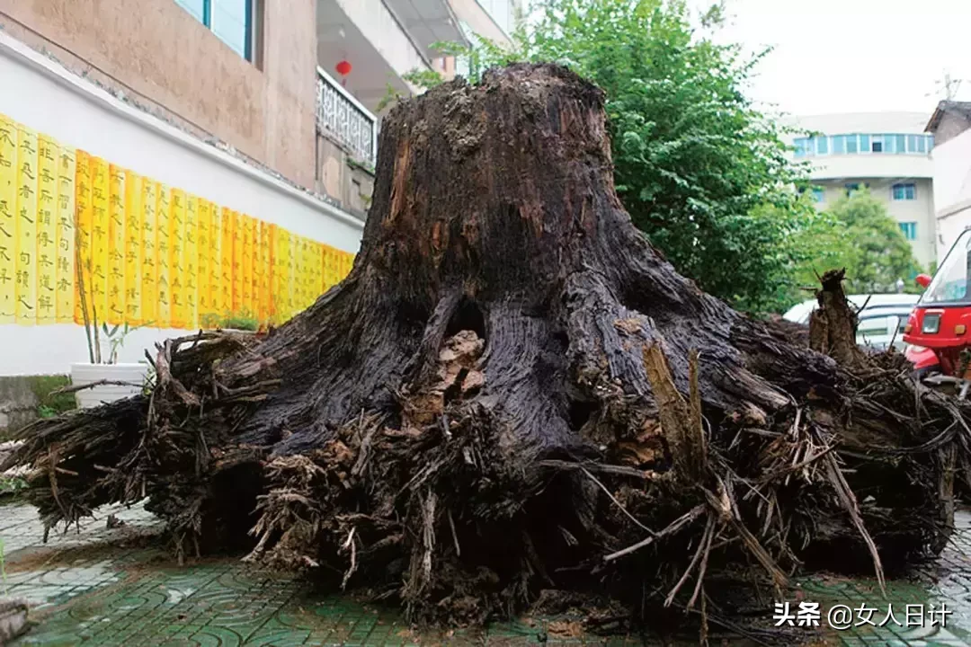 红木市场,最热门的8个品种!