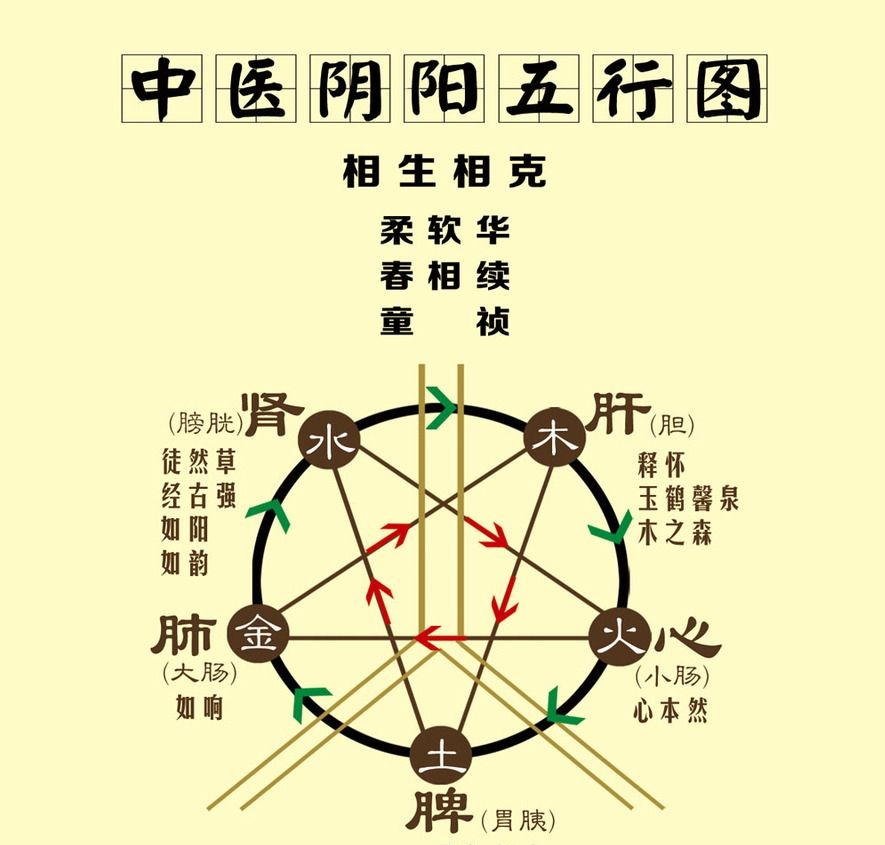 五行相生相克图表(五行相生相克图表 实用) 五行相生相克图表(五行相生相克图表 实用)
