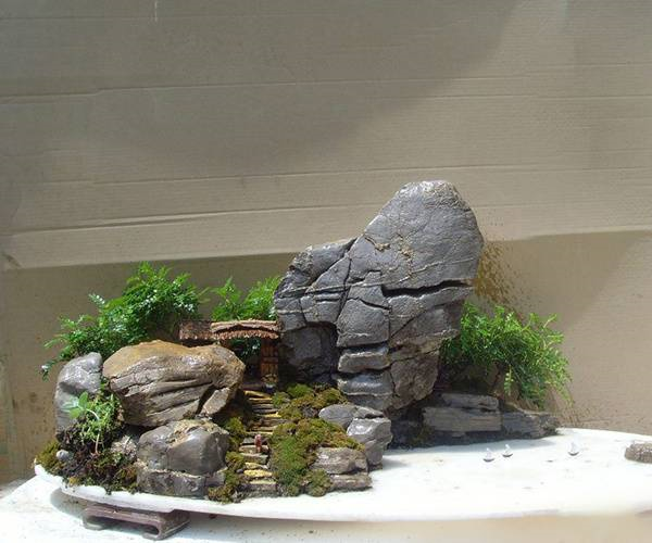 盆景里的小假山惟妙惟肖小盆景假山造型图