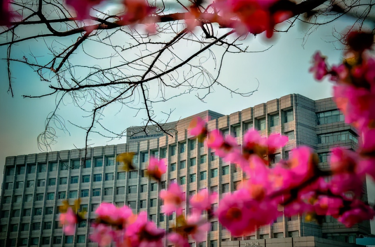 这类大学，全国仅2所！一所在辽宁，还是交通运输部直属“唯一”双一流！