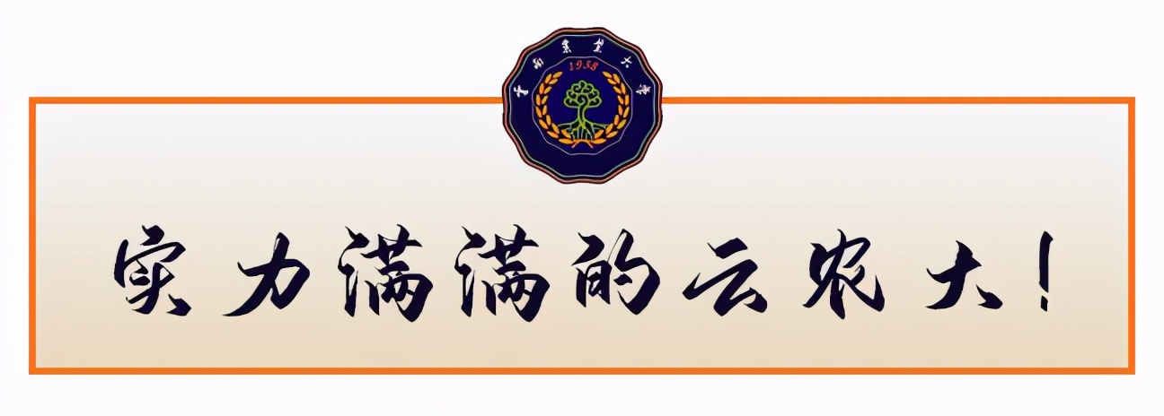 国家级一流！厉害了我的云南农大