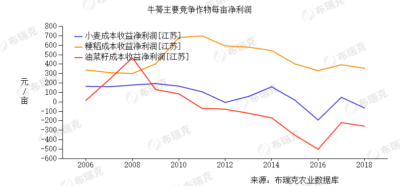 牛蒡每亩总产值近7千元，净利润超3000元，但不可盲目种植