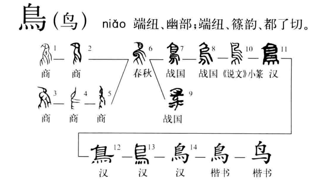鸟字旁的字有哪些 鸟字加偏旁-徐拾记官网