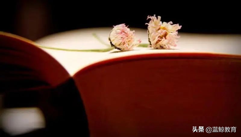 “衡水系学校”饱受争议背后：全国布局已超30所、正加速资本化