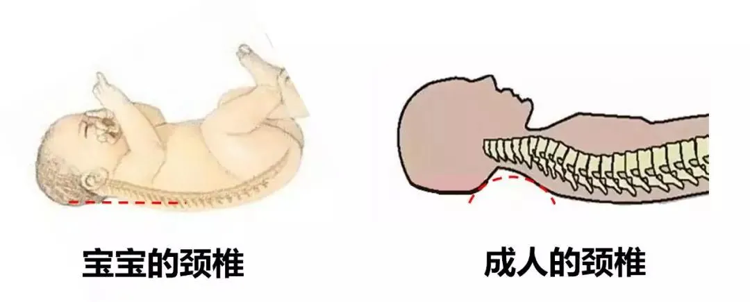 用错伤颈椎！宝宝多大能用枕头？怎么用？看这篇就够了