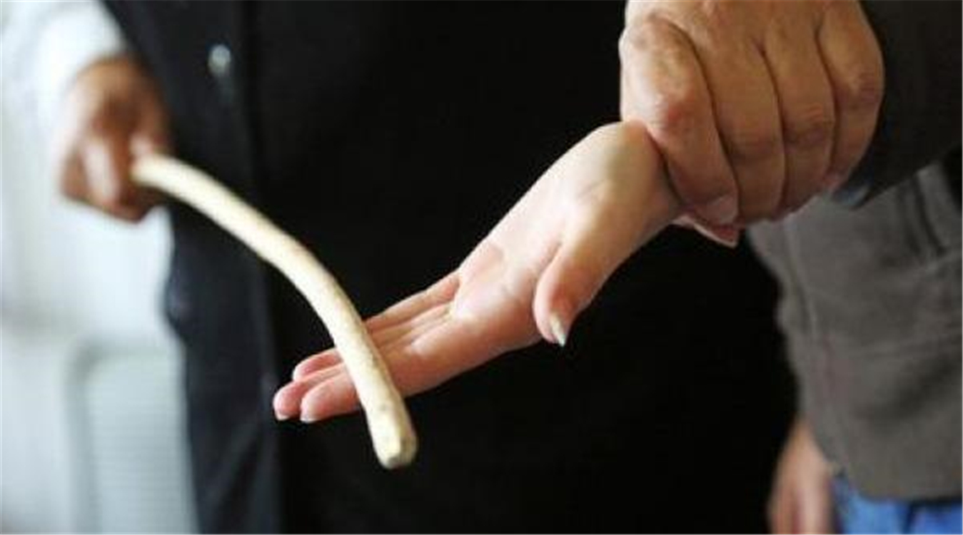 新加坡学生上网课,藤条被父母买到断货:小孩在家才懂什么叫崩溃