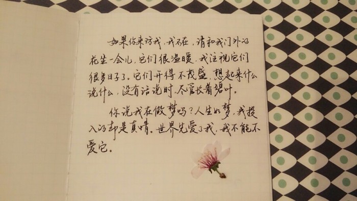 好想牵着你的手，看东边的日出，看湖面的灯火枫晚