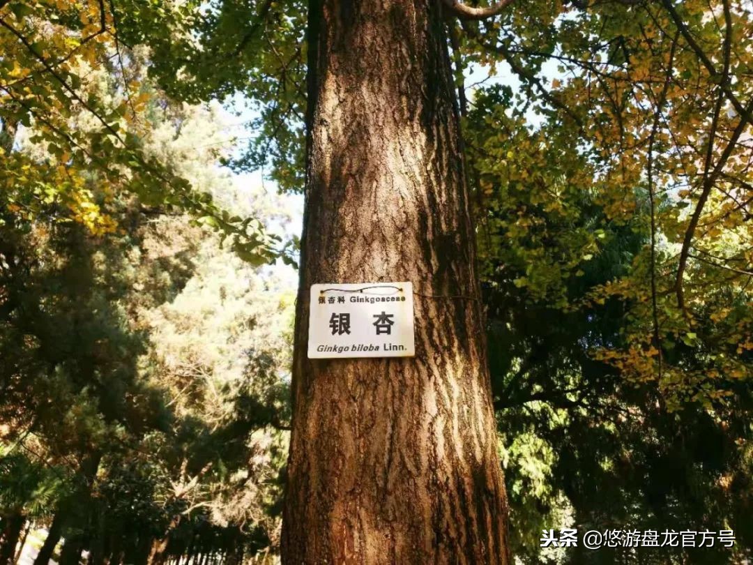 资讯｜昆明绝佳十大文艺拍照圣地，全部去过的请举手！