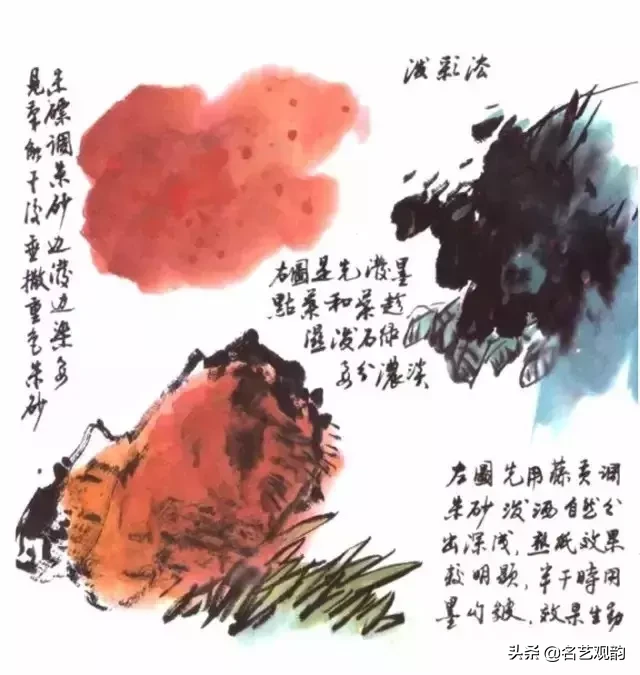 国画技法 | 写意花鸟画色彩技法详解之染色方法