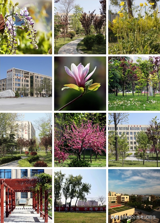 立德 笃学 修能 致用 ‖ 西安职业技术学院