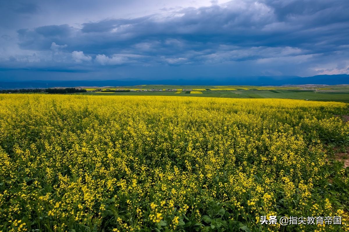 三年级语文基础知识最拉分的题是句子类，但考点集中，会做全在练