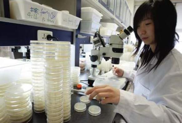 宁夏考生431分能上985？中山大学招生爆冷，多地录取分数线创新低