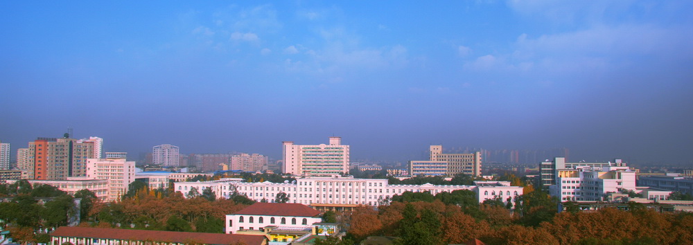 电子科大在渝录取分析：最高排名479位，临床医学专业劣势明显