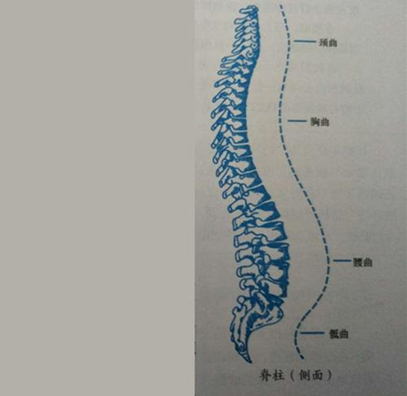 不交智商税的乳胶枕+乳胶床垫选购攻略——买个实惠，一步到位