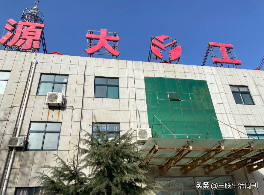苏银霞：“刺死辱母者”背后的主角
