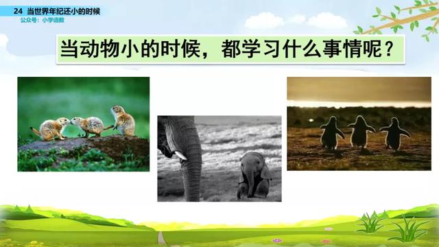 语文二年级下24课《当世界年纪还小的时候》图文解读+知识点+测试