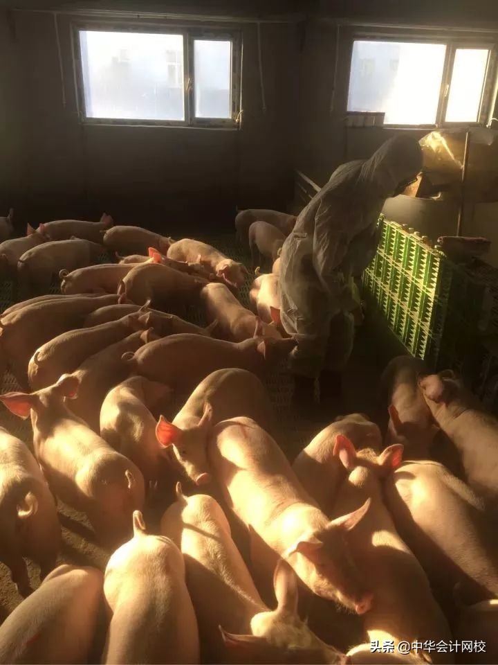 德勤审计现场简直太太太太太太太秀了！