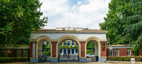 青岛科技大学2020年招生计划，2019年省内录取分数