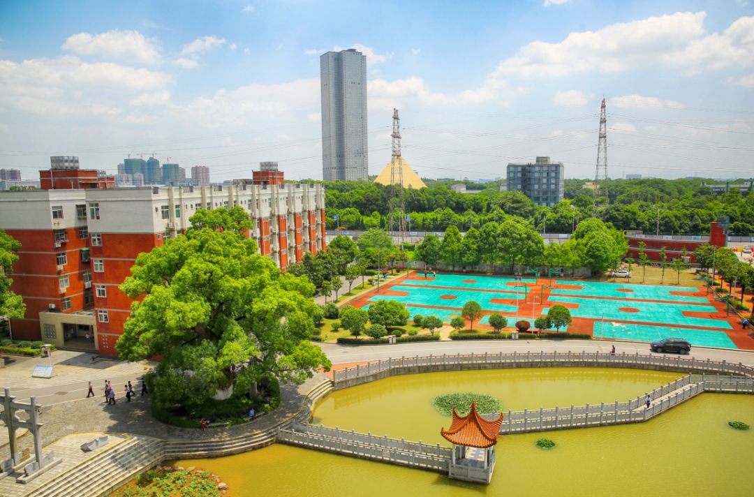 撑起长沙县名校半边天的县一中和维汉，到底有什么区别？