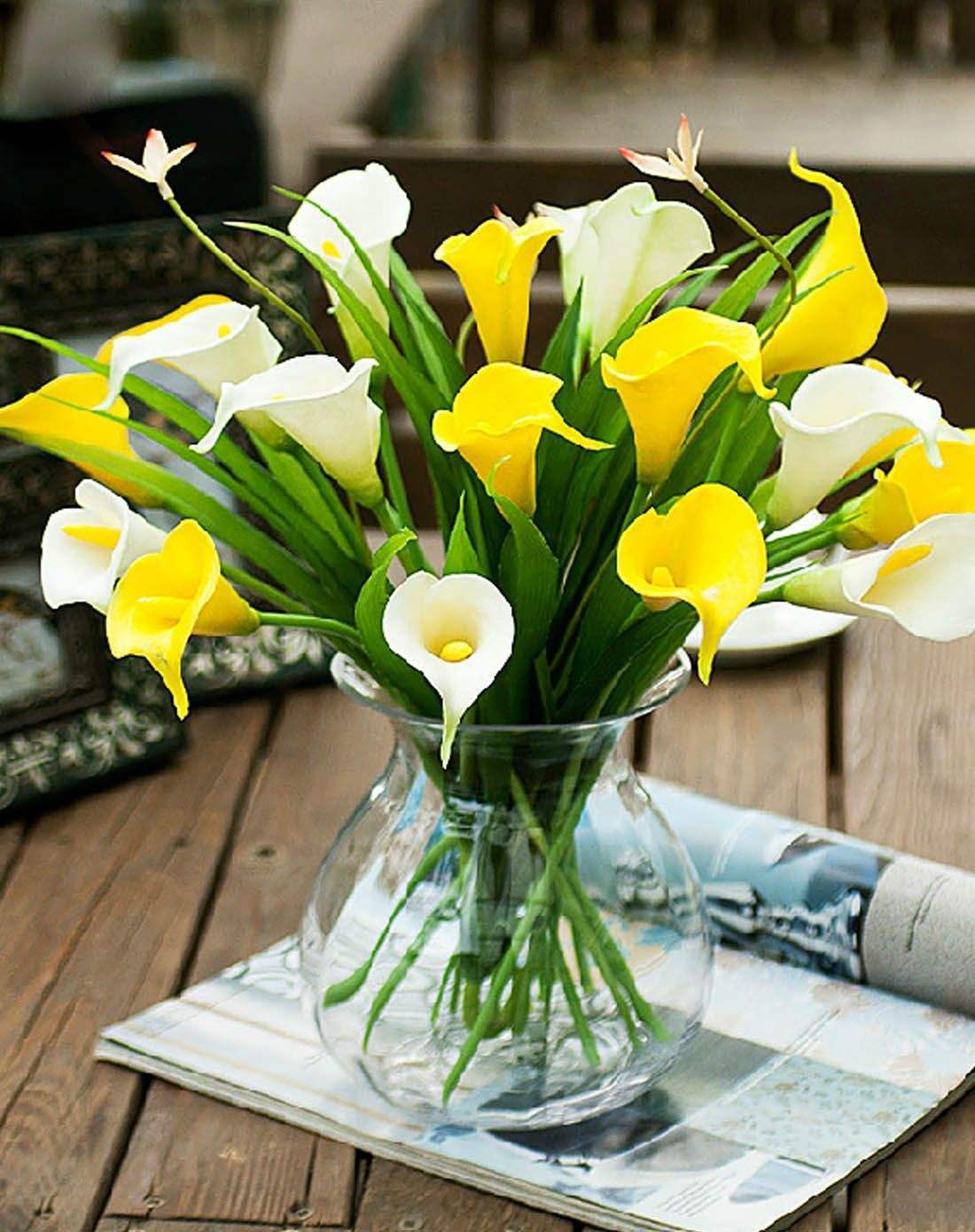 开花优雅花语美,马蹄莲家养没那么简单,几个关键点要知道