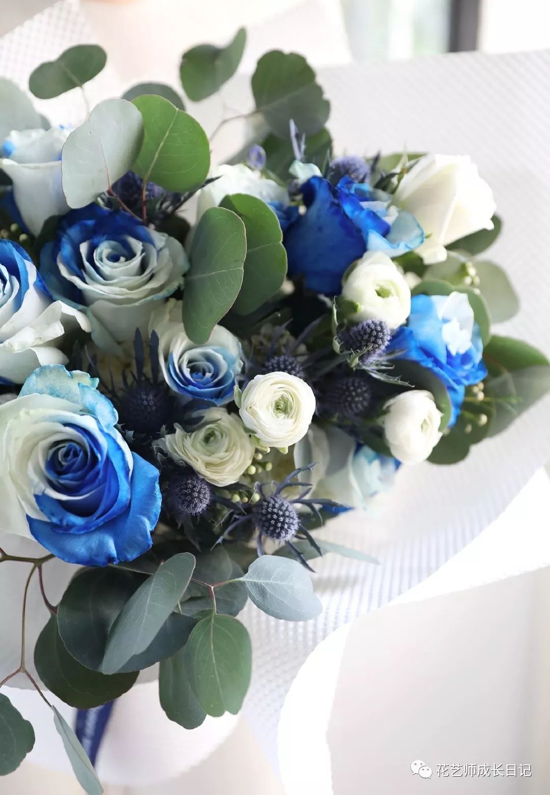 渐变玫瑰花都叫什么名字(详解关于渐变色的玫瑰)