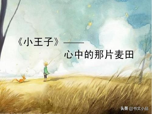 豆瓣9.0《小王子》：与玫瑰的爱情隐喻，是爱与责任的忏悔