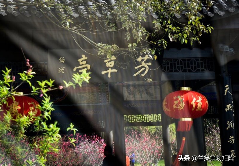 诗情桃花源 | 此生，只为你盛开这朵桃